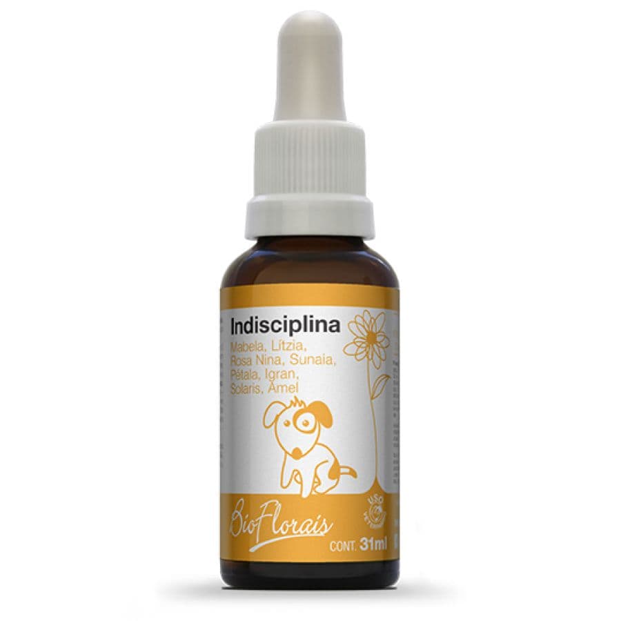 Indisciplina