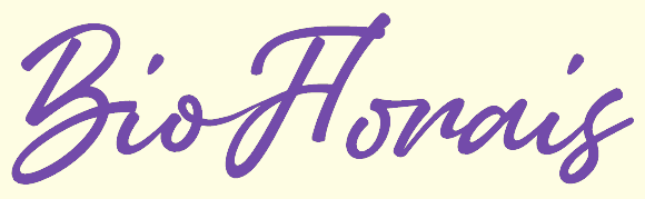 Logo Novo Menor Roxo